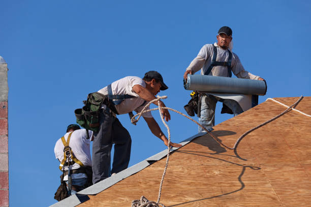 Best Roof Gutter Cleaning  in Kennedy, CA